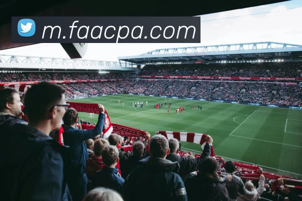 pa真人视讯品牌故事